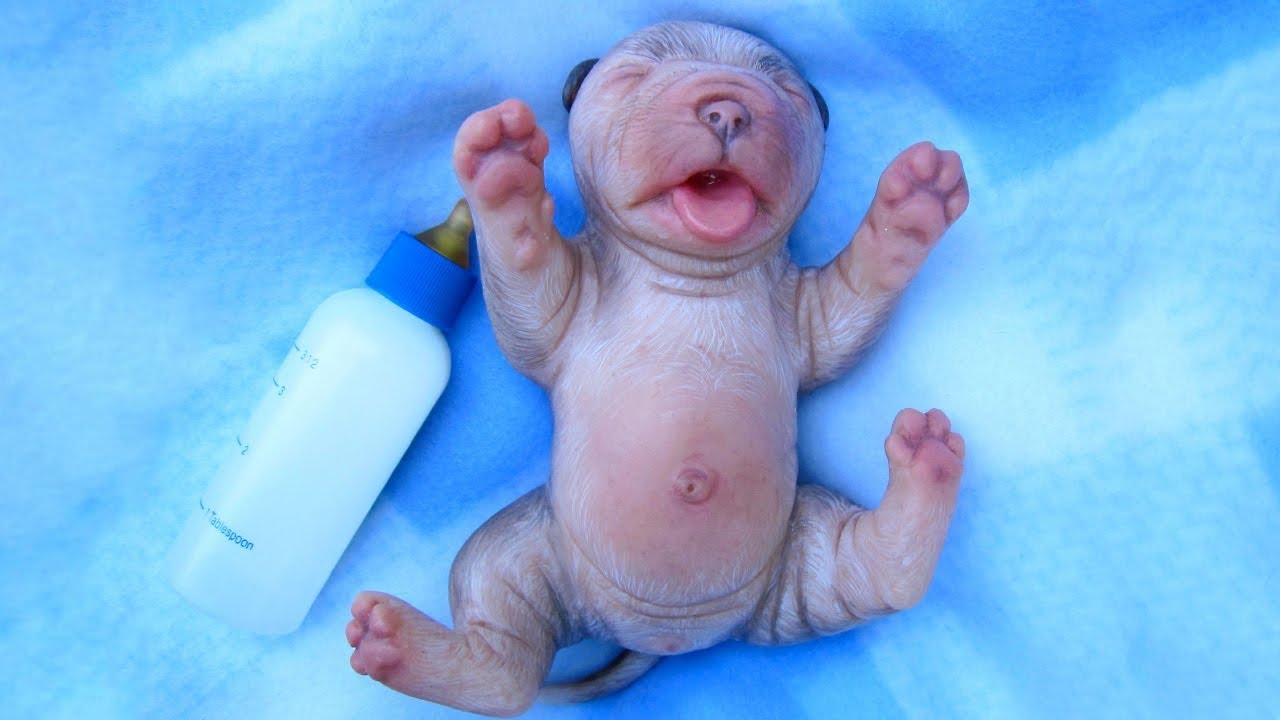 💗 Aww 🐶 The World's Cutest Newborn Puppies ★ Funny Babies And Pets