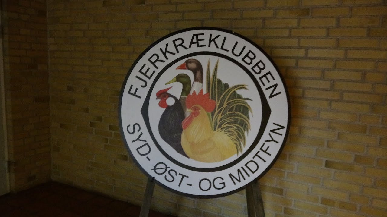 Fjerkræudstilling 2025 i Vindinge Hallen