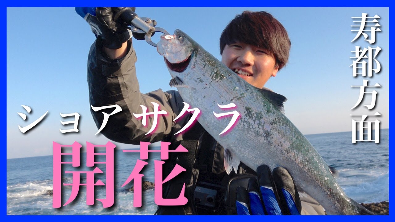 【ショアサクラマス】寿都方面でサクラマスと激闘。［北海道釣り］［アメマス］