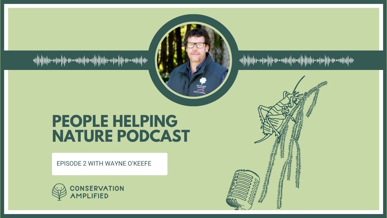 What Does a Healthy Ecosystem Look Like in Aotearoa New Zealand? (with Wayne O’Keefe)