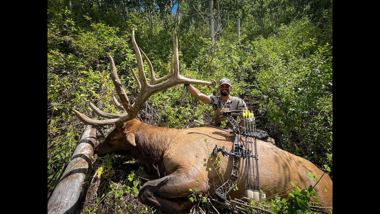 2021 UTAH LIMITED ENTRY ELK HUNT   