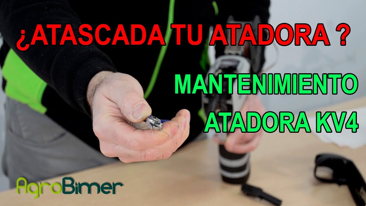 LIMPIEZA Y MANTENIMIENTO KV4