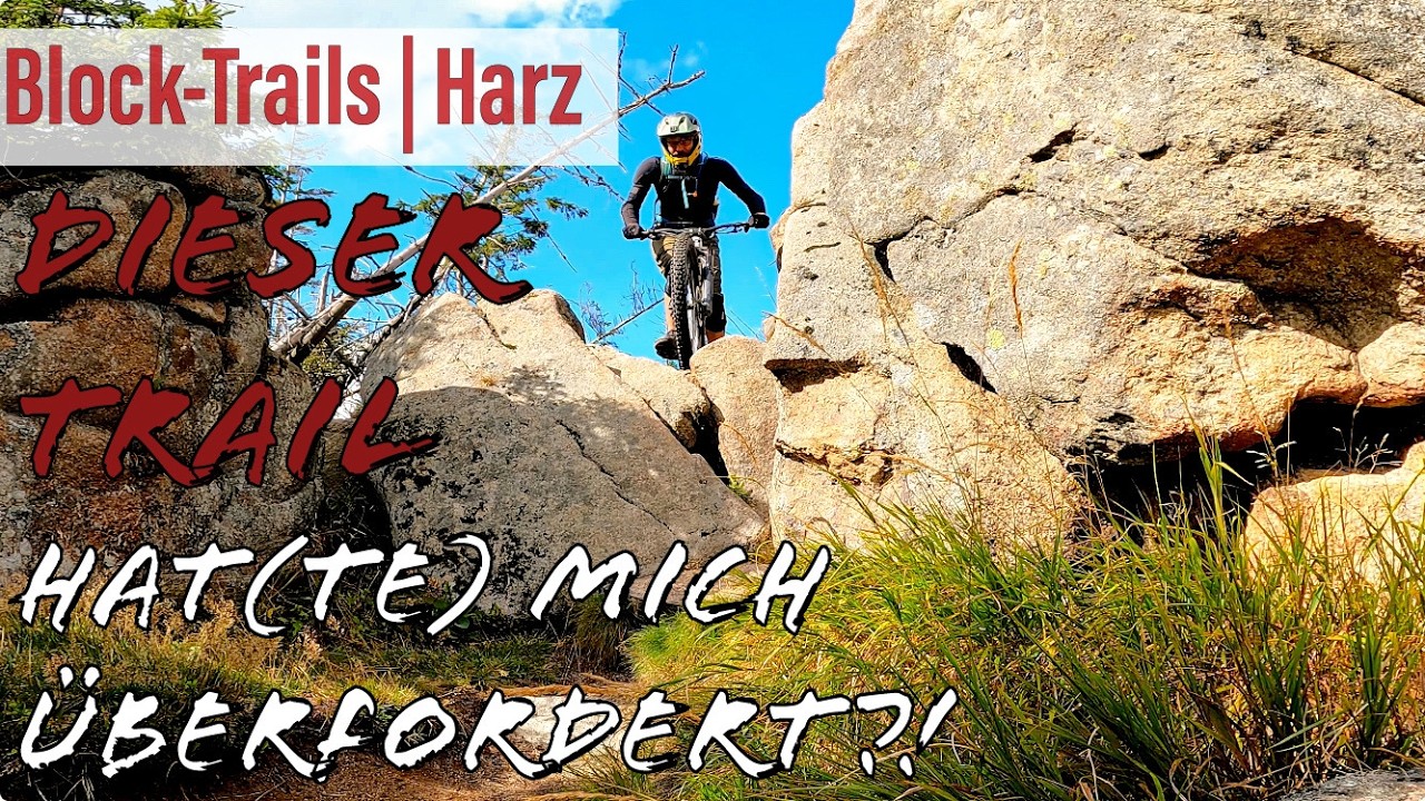 Mountainbike Harz: Technischer Trail, der mich überfordert hat | 2. Versuch im Enduro