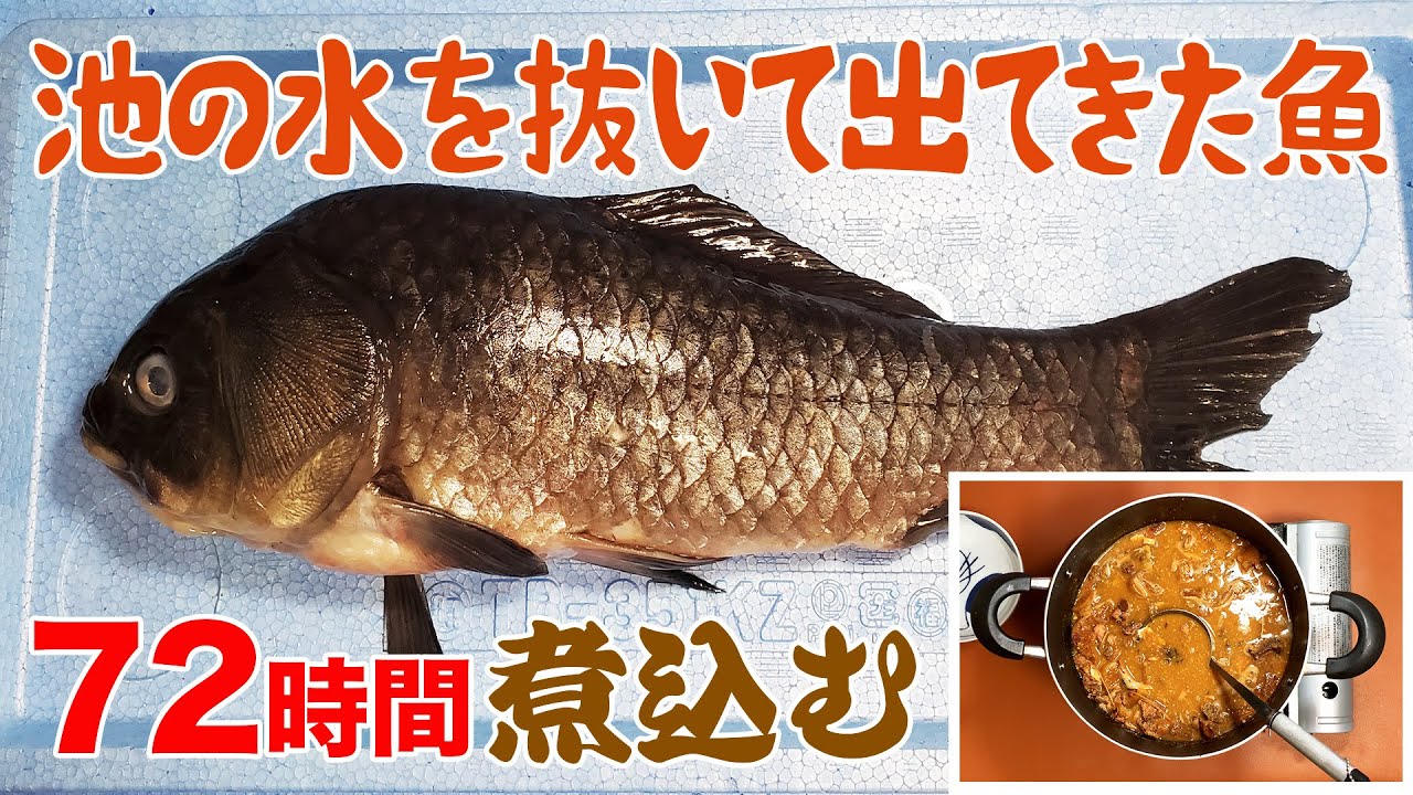 ナガブナと思しき魚を身が溶けるくらい煮込んでみた