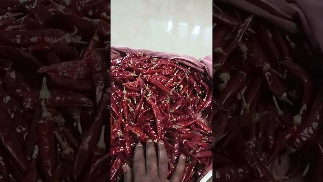 எங்க வீட்டில் மிளகாய்த்தூள எப்படி அரைப்பது முகுந்தன் கிச்சன்