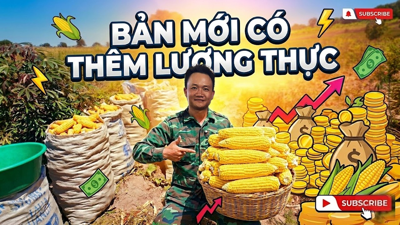 Đình Thế Vlogs ||  Bản Mới Có Thêm Lương Thưc - Sẽ Không Còn Ai Phải Đói..