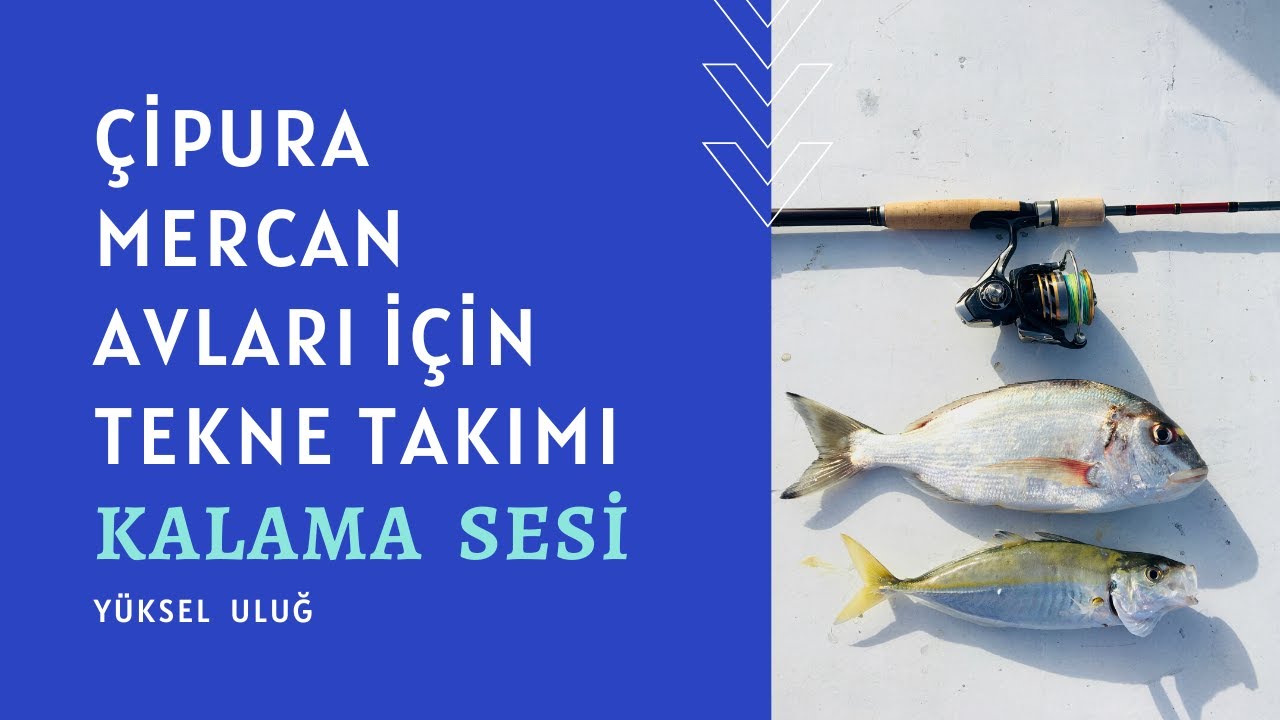 ÇİPURA İÇİN TEKNE TAKIMI...HANGİ OLTA ?