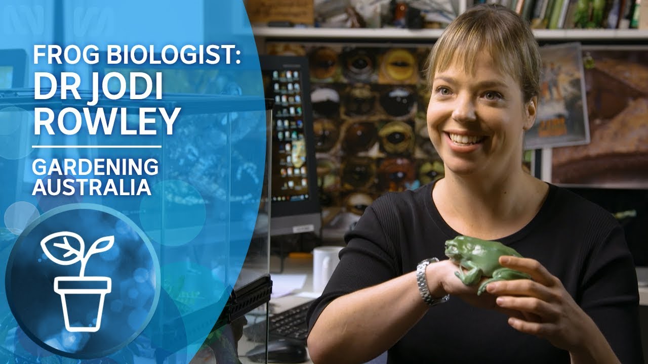 My Garden Path: Frog Biologist Dr Jodi Rowley on studying Australia’s amazing frogs