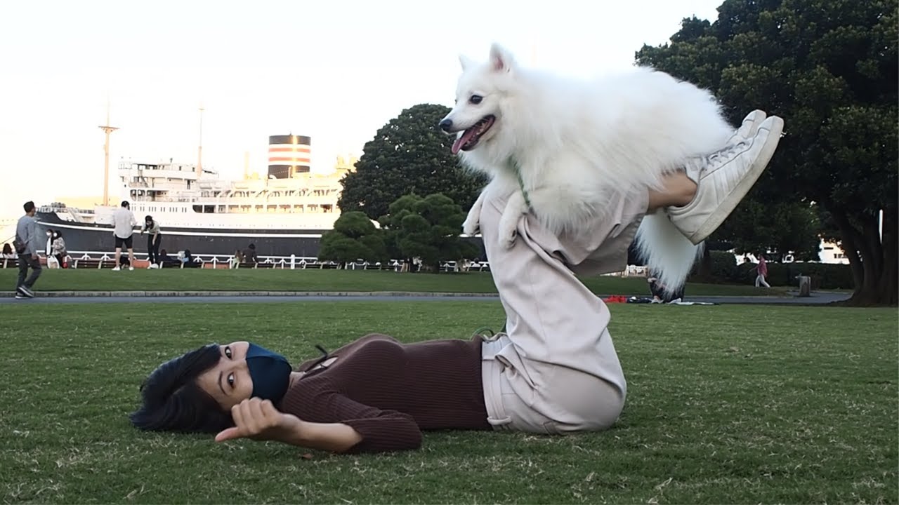 【悲報】デートの主役は犬であることが証明されてしまった