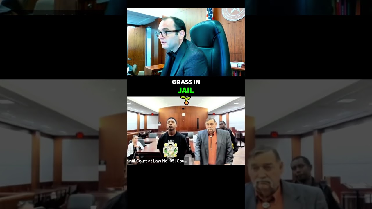 The judge is setting him up for success. ❤️ #court #lawyer  #judge #judgefleischer #crime
