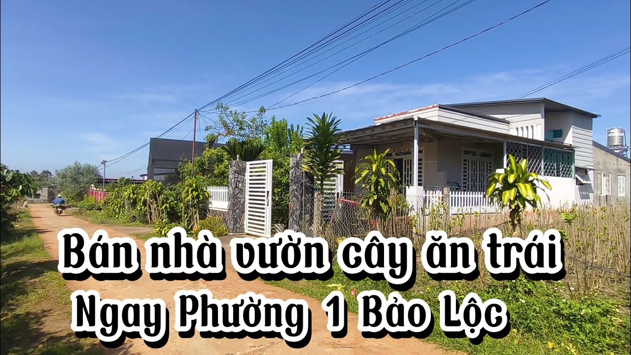 Bán nhà vườn 1170m2 sẵn 400m2 thổ cư|| Mặt tiền đường Quang Trung phường 1 Bảo Lộc 