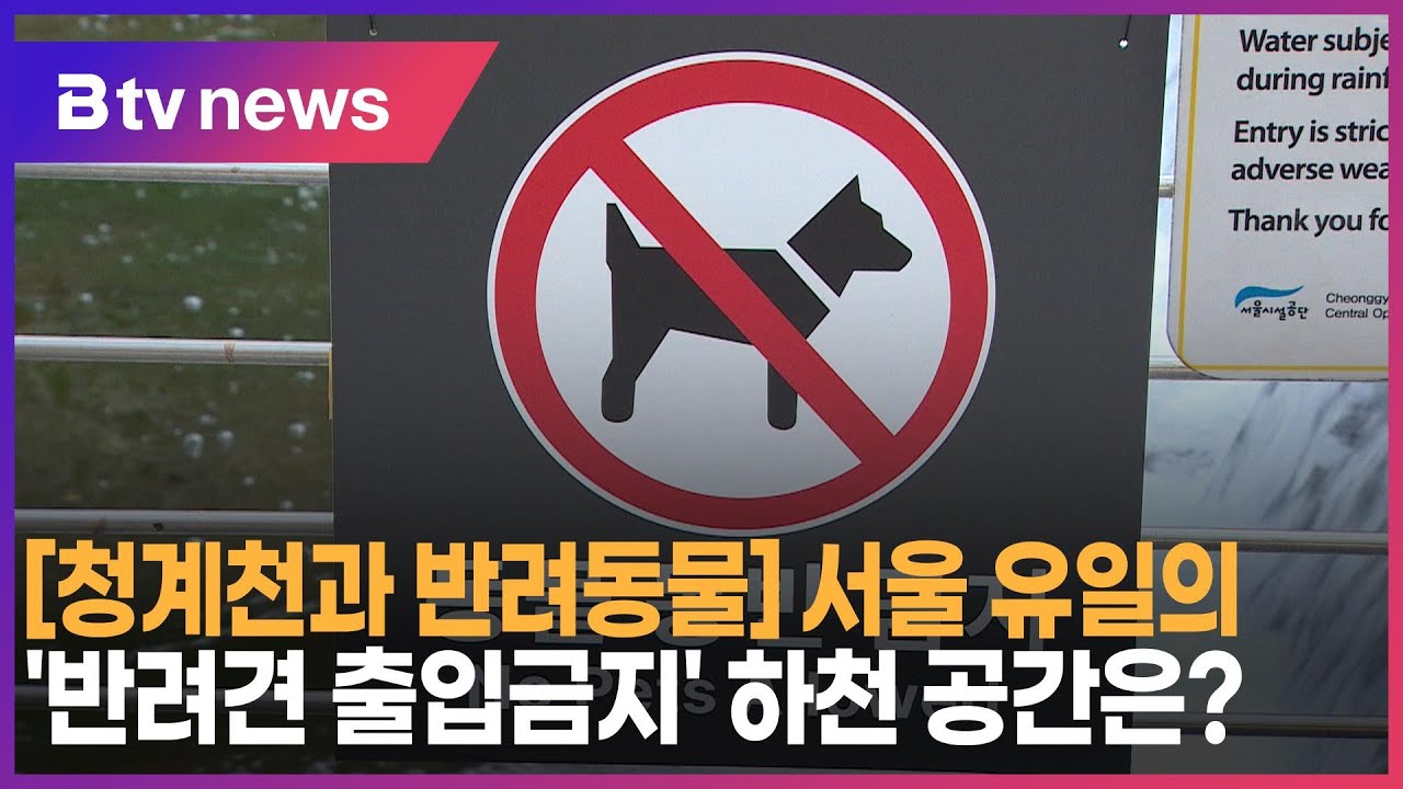 [청계천과 반려동물] ② 서울 유일의 '반려견 출입금지' 하천 공간은?_SK broadband 서울뉴스