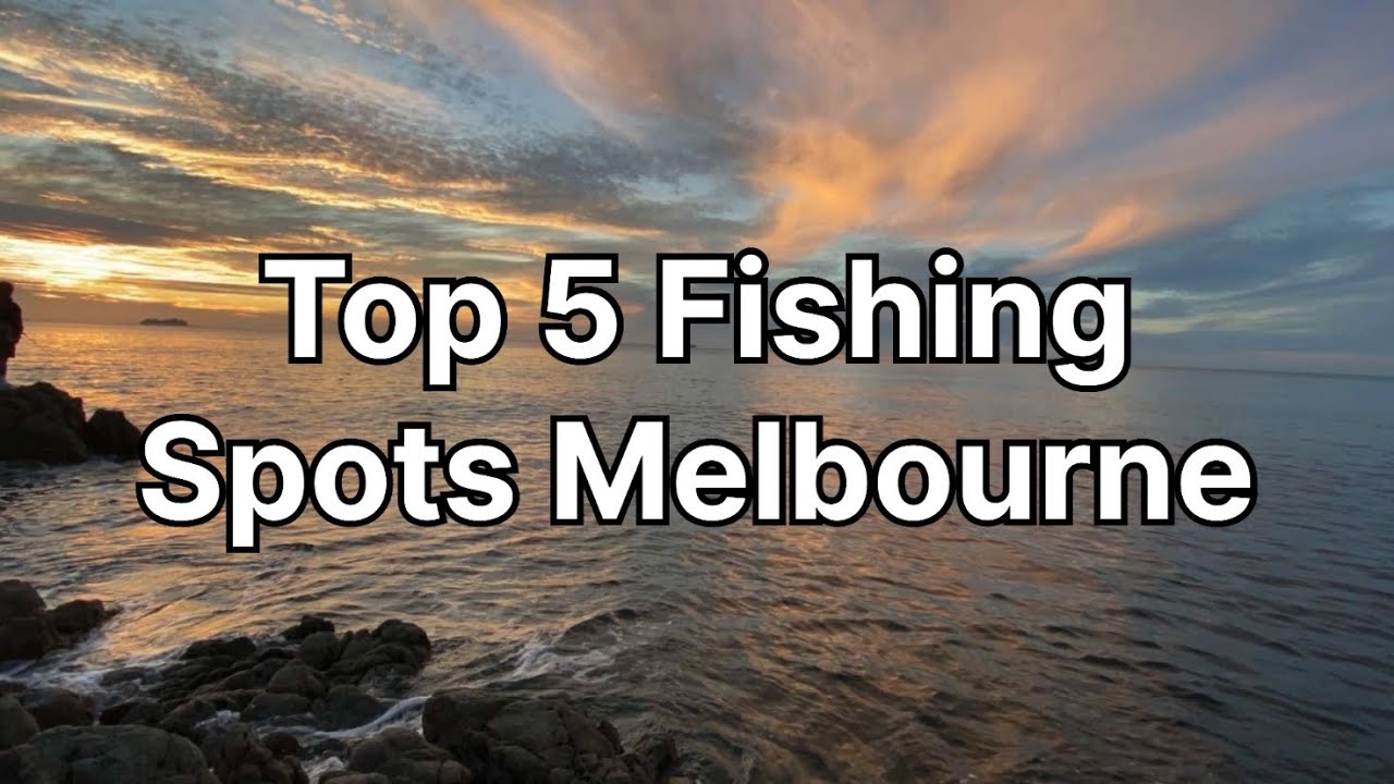 My top 5 Port Phillip Bay fishing spots