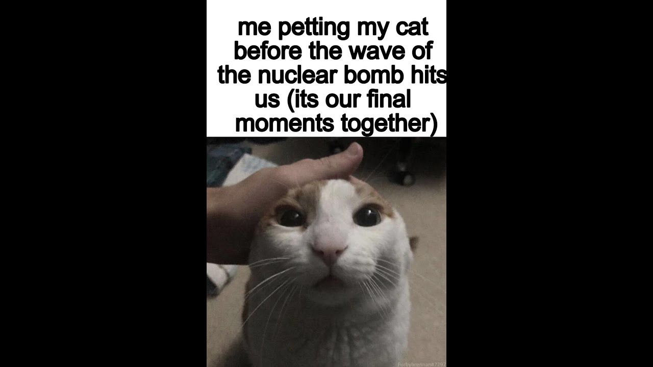 shitpoststat