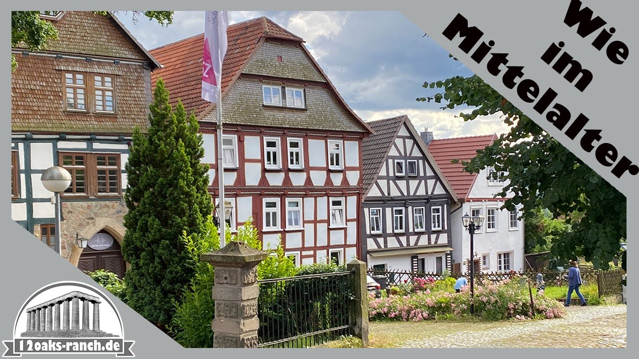 Pferd Queenie ist noch beim Hengst + Mittelalterliche  Domstadt Fritzlar in Nordhessen bei Kassel