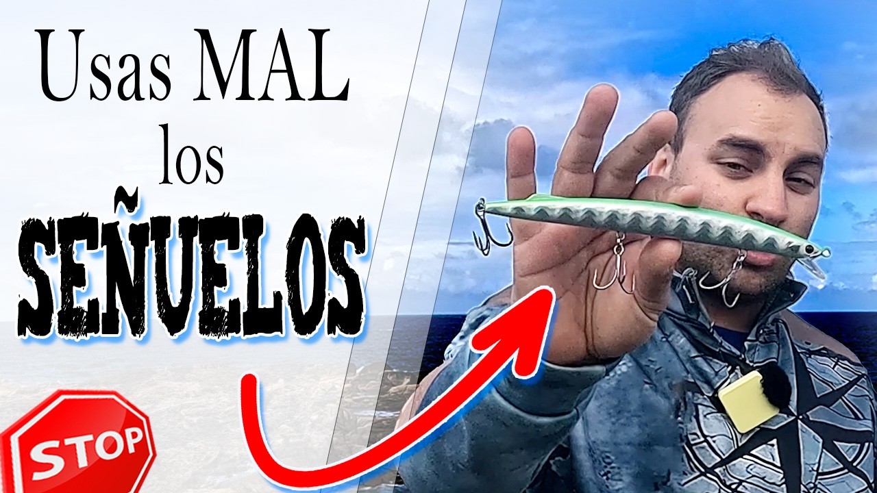 Como usar Señuelos de Pesca a Spinning: EL TAMAÑO SÍ IMPORTA❗(Aprende de la pesca con caña)