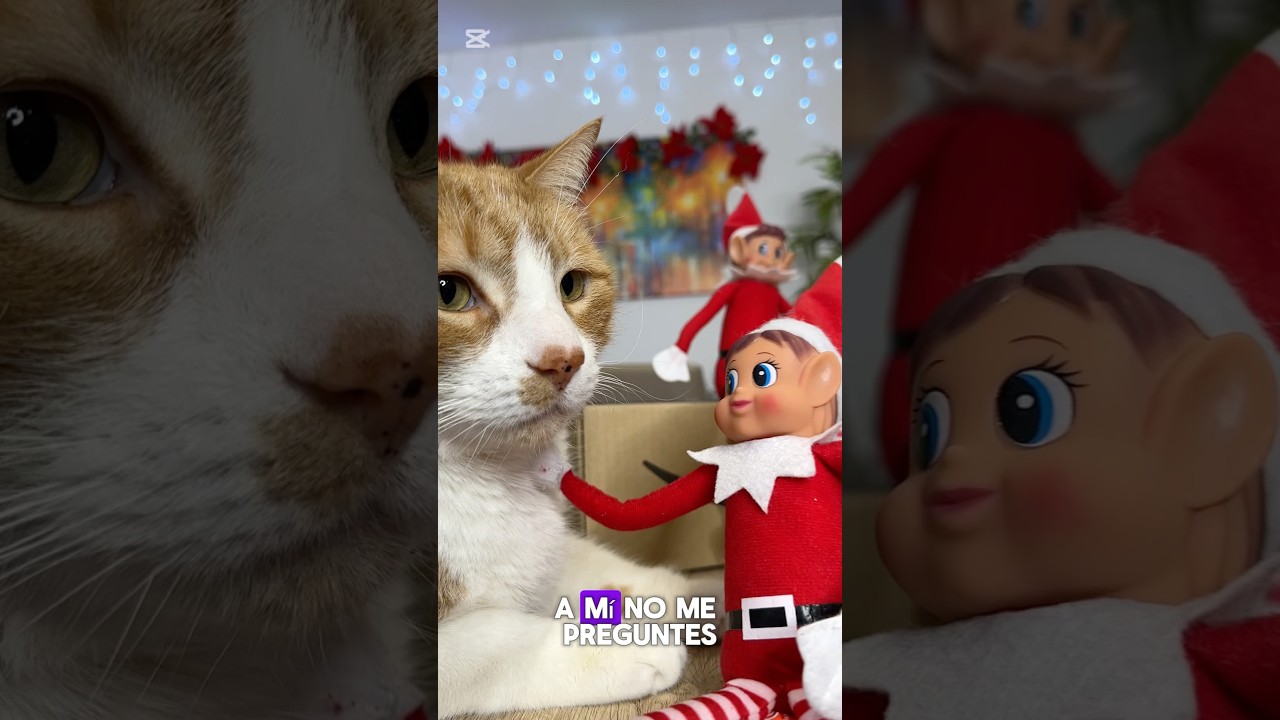 Los elfos traviesos abren un paquete sorpresa #publicidad