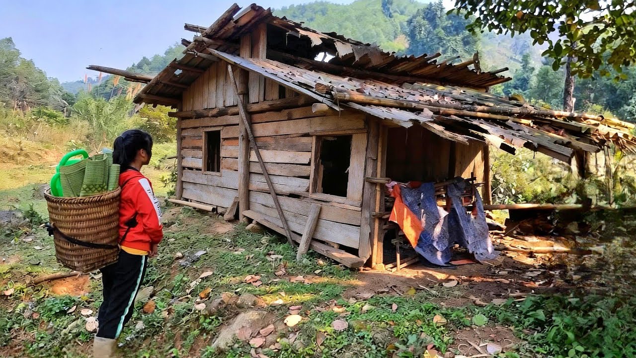 Young woman transforms old house into A NEW HOME in just 60 days by @TieuLieu-17yearold
