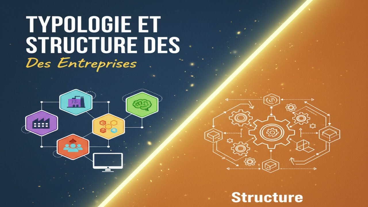 Les Formes et Typologies d'Entreprise | Guide Complet