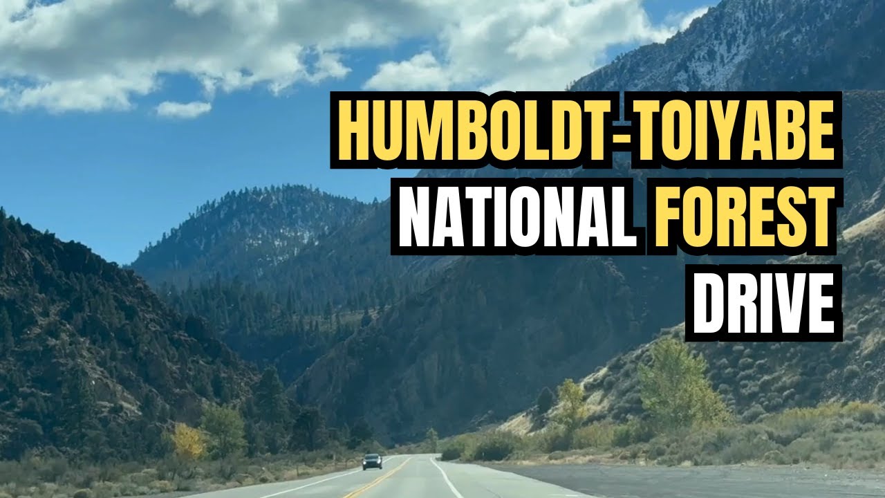 Scenic Drive Through Humboldt-Toiyabe National Forest on US395