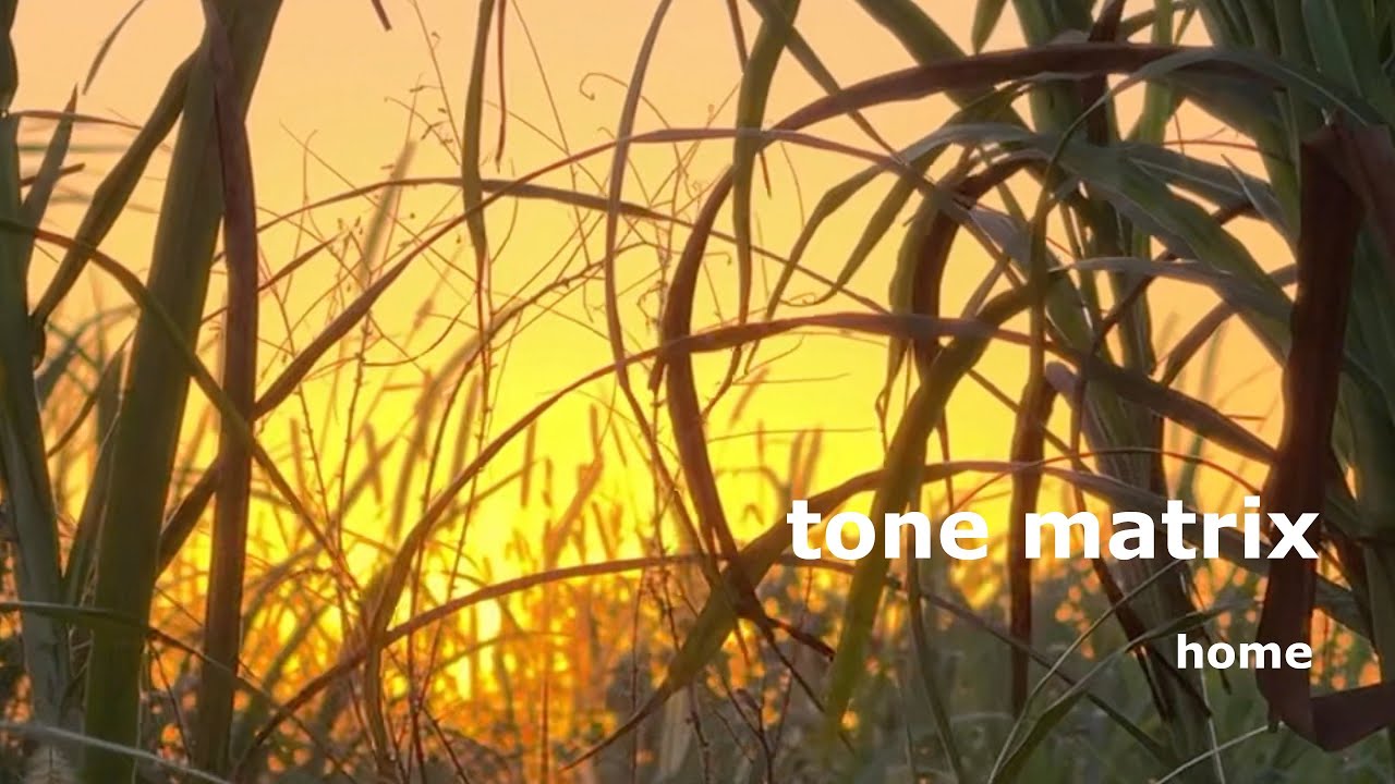 Tone Matrix - Home