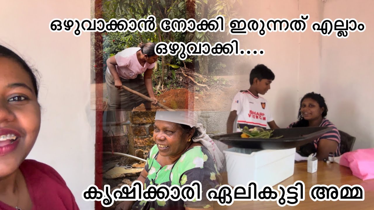അമ്മച്ചിടെ കൃഷി #viralvideo #trending #lijisujith #vlog #vlog 