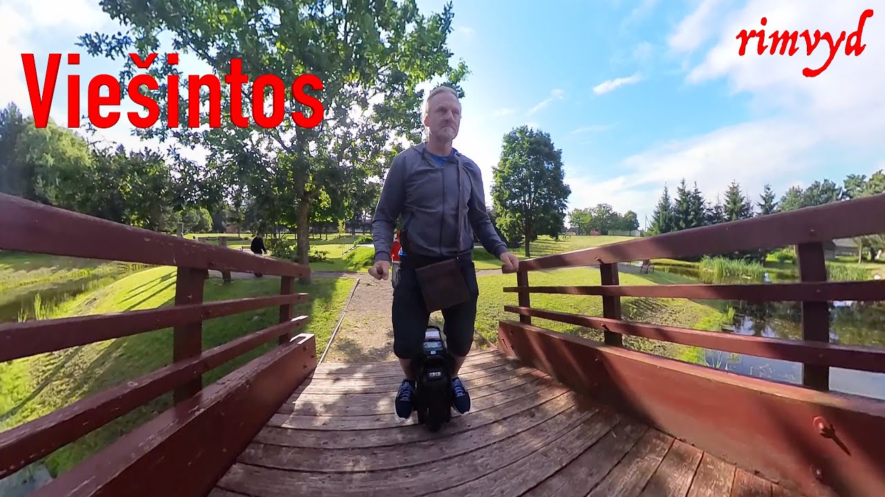 Viešintos