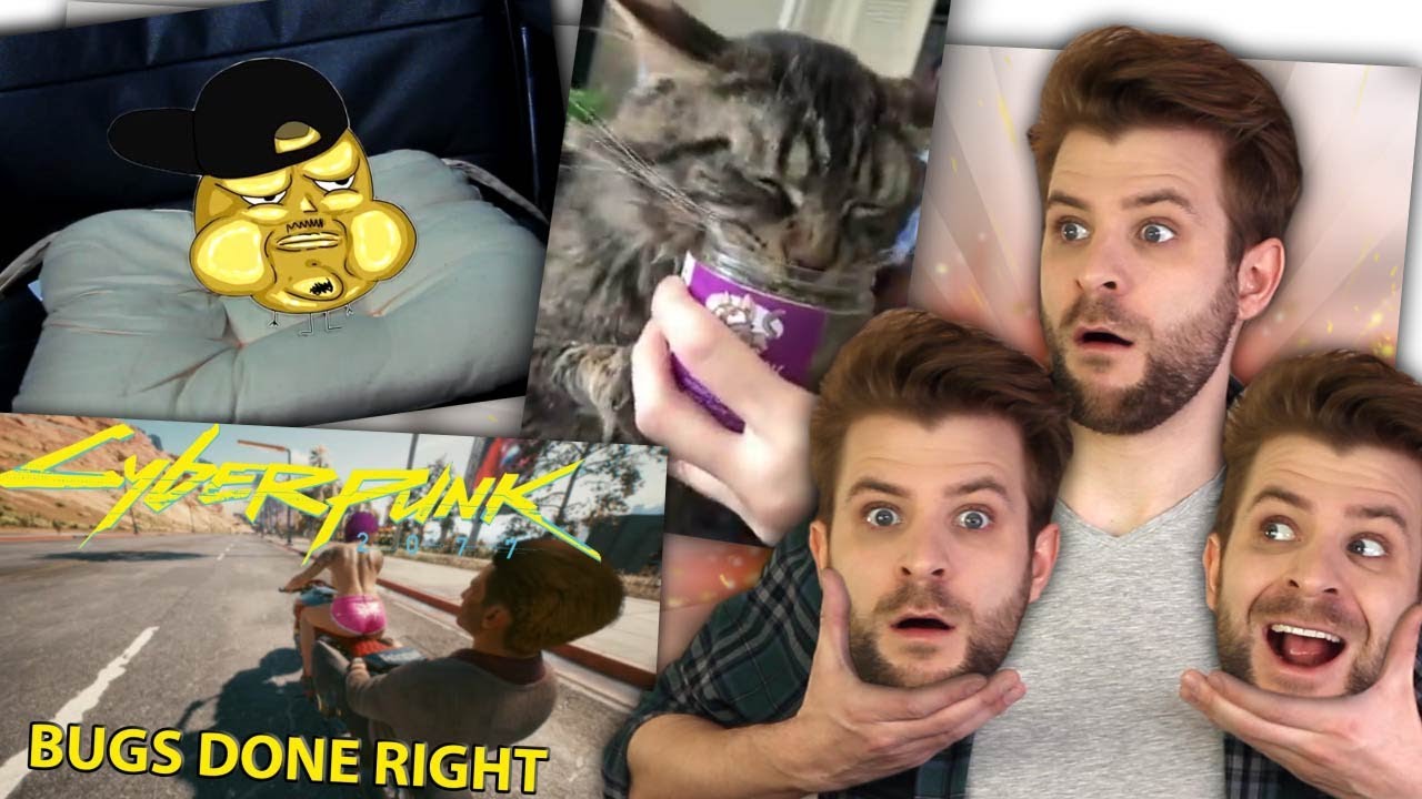 Die verrücktesten VIDEOS auf YOUTUBE !!! - Zeo und das Internet!