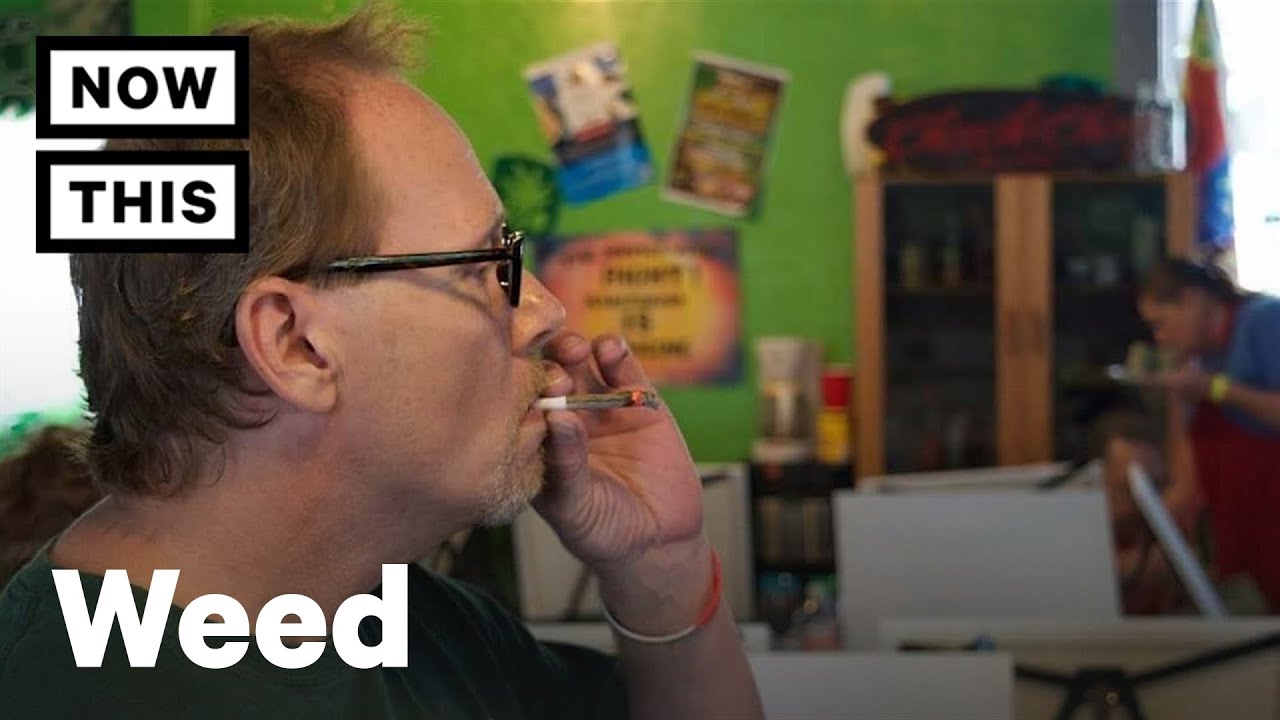 Buds And Brushes Art Classes Let You Smoke Weed And Paint | NowThis