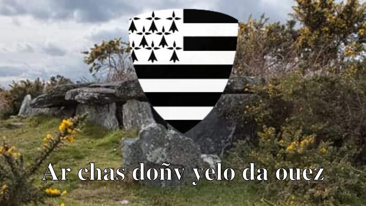 Ar chas doñv yelo da ouez