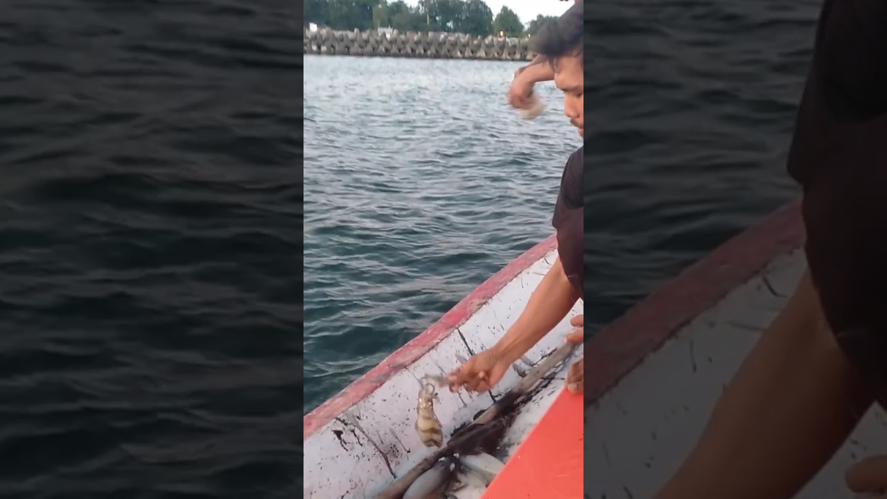 Keseruan Mancing Cumi