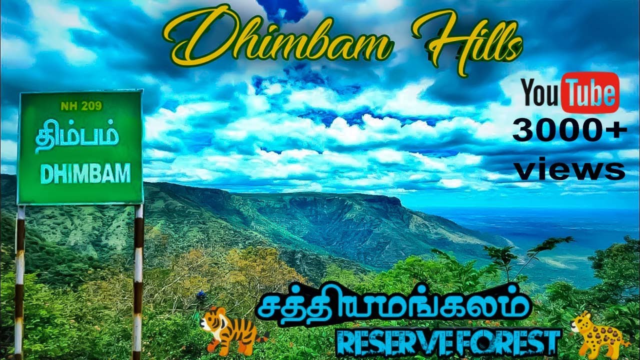 DHIMBAM GHAT ROAD | Dhimbam view point | Sathayamangalam Tiger 🐅 Reserve Forest