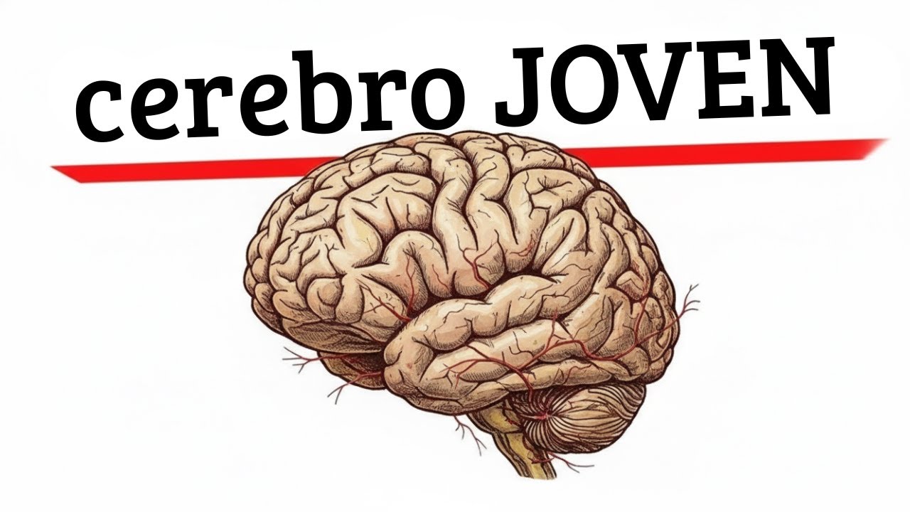 Cómo evitar que tu cerebro envejezca como el de la mayoría
