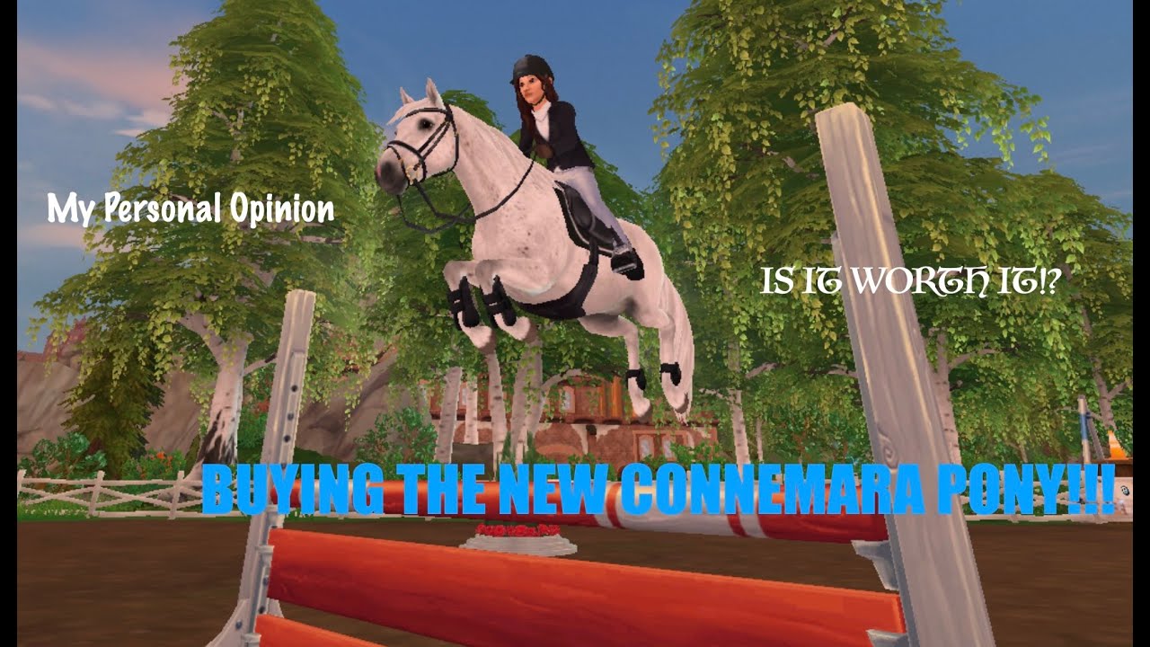 BUYING THE NEW CONNEMARA PONY!!!