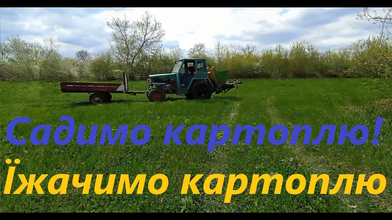 Посадка та прополка 