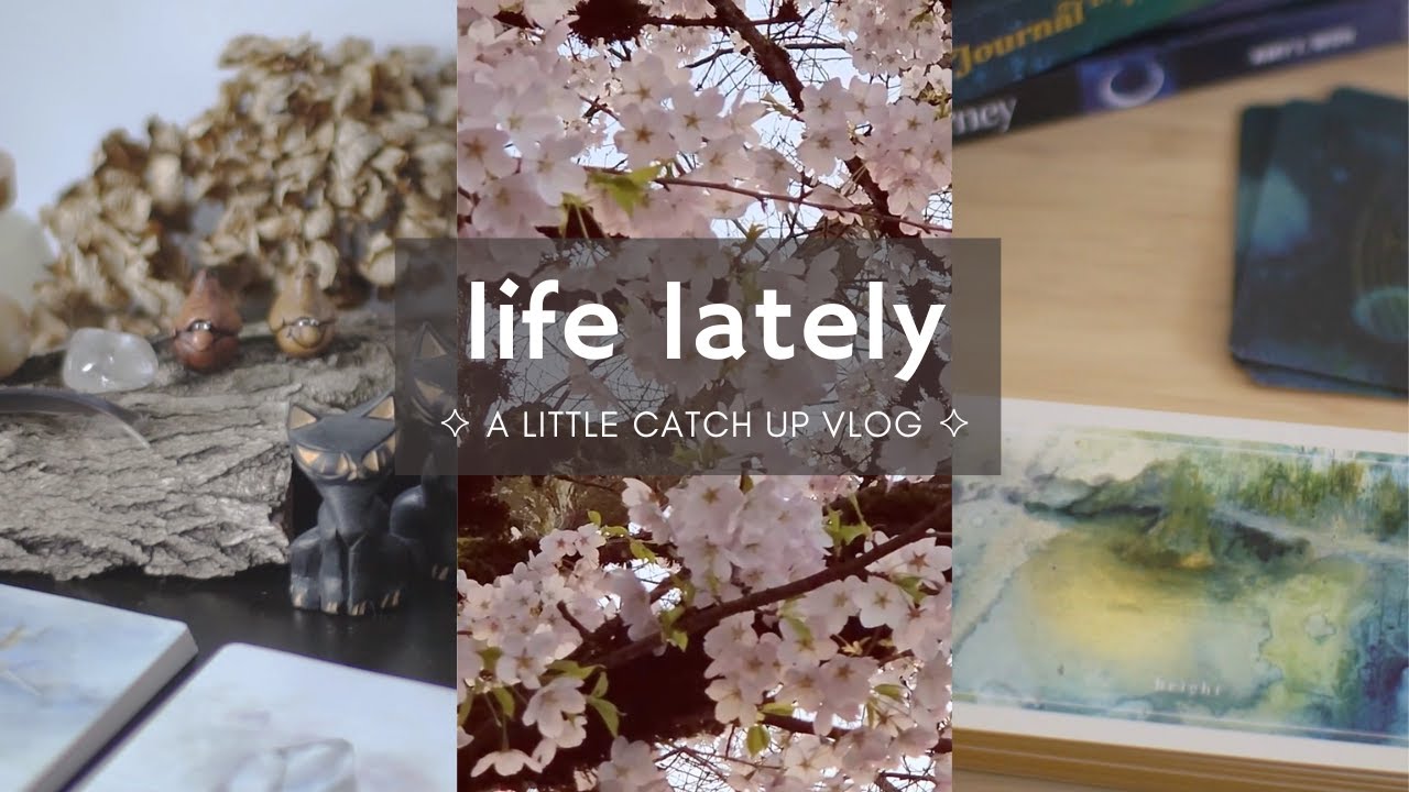 life lately :: a little catch-up vlog