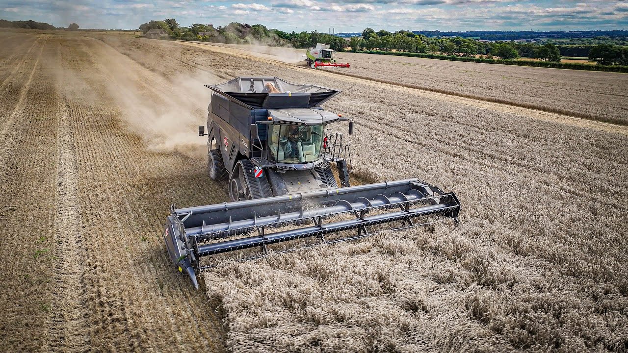 Massey Ferguson Ideal 7T & Claas Lexion 560TT (4K)