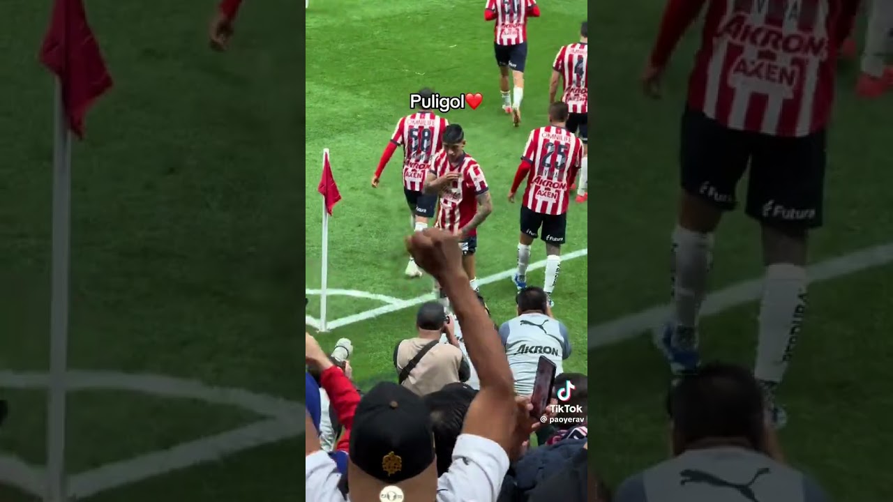 #alanpulido #chivasguadalajara #Golalanpulido #Puligol❤️