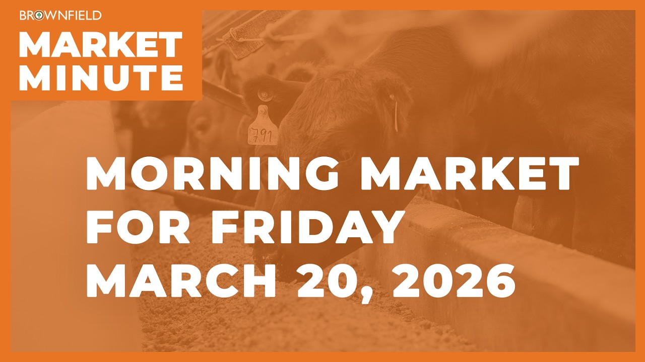 Soybeans were mostly firm overnight | Morning Market Minute