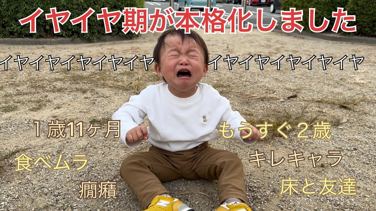 【イヤイヤ期】１歳11ヶ月男の子👦イヤイヤ期の本格始動！