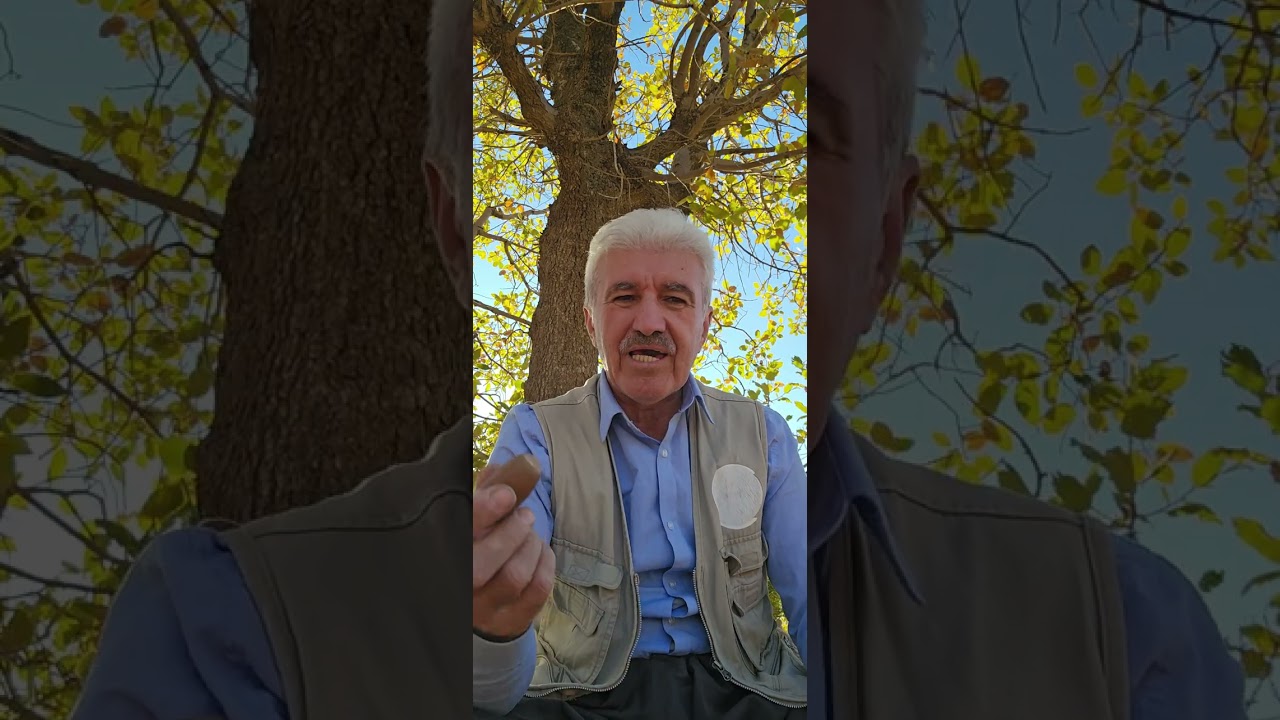 گوتنێت مەزنا.......Gotinêt mezina   Mela Elî șirtî