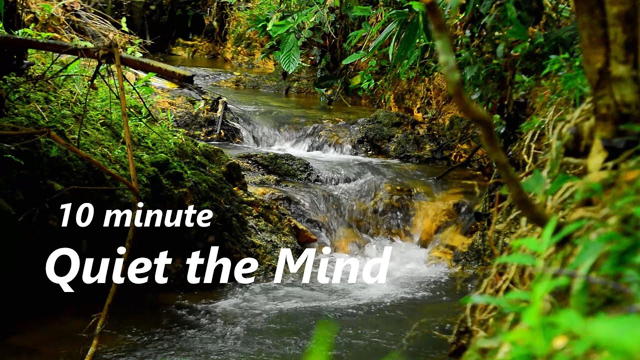 10 Minute Flowing Water ASMR: Calming Sounds to Ease Fatigue & Quiet the Mind