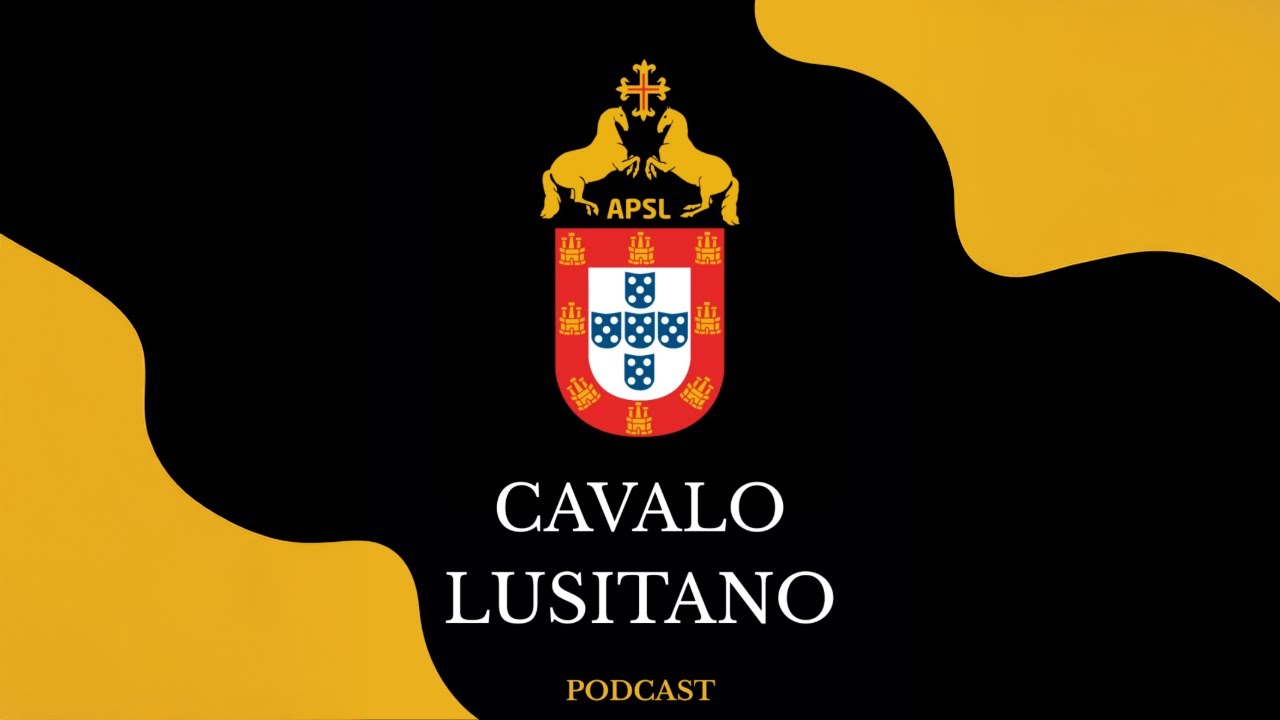 Vasco Freire | CAVALO LUSITANO #18