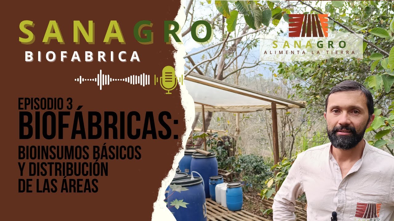 BIOFÁBRICA: Bioinsumos Básicos y Distribución de las Áreas Principales