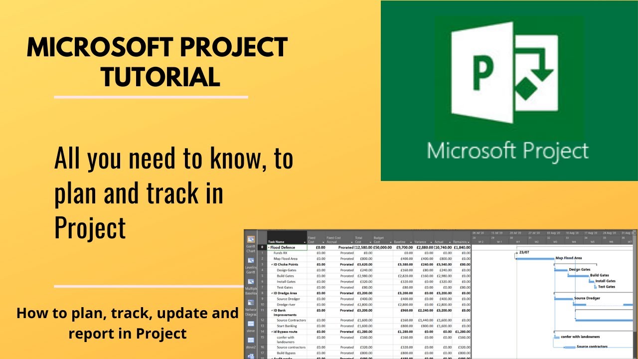 Project management with Microsoft Project. Track Projects. Report generation, sharing, reviewing.