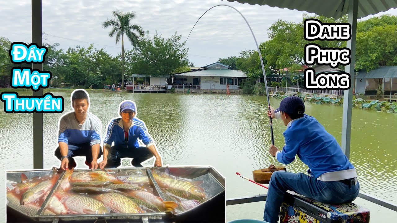 53. Dahe Phục Long 