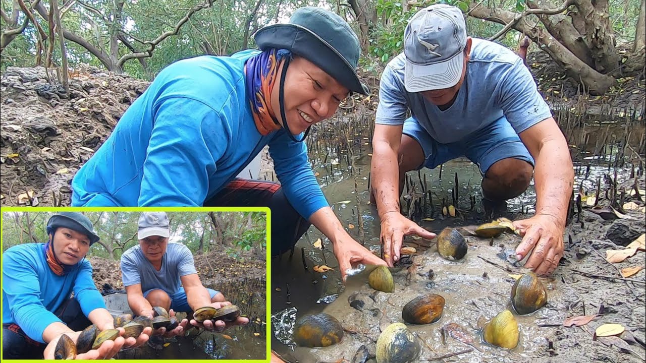 Pangunguha ng lukan shell