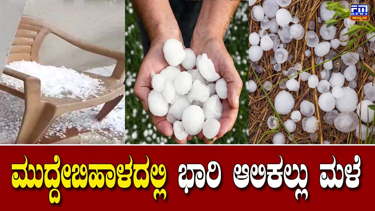 ಮುದ್ದೇಬಿಹಾಳದಲ್ಲಿ ಭಾರಿ  ಆಲಿಕಲ್ಲು ಮಳೆ : ಕಂಗಾಲಾದ ರೈತರು | FM NEWS VIJAYAPUR