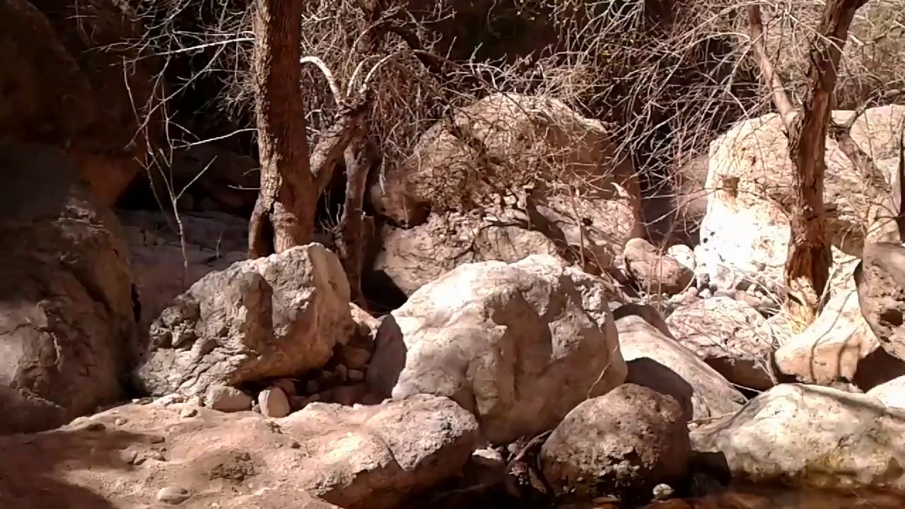 Exploring a cool cave spring on Fish Creek - Apache Trail AZ