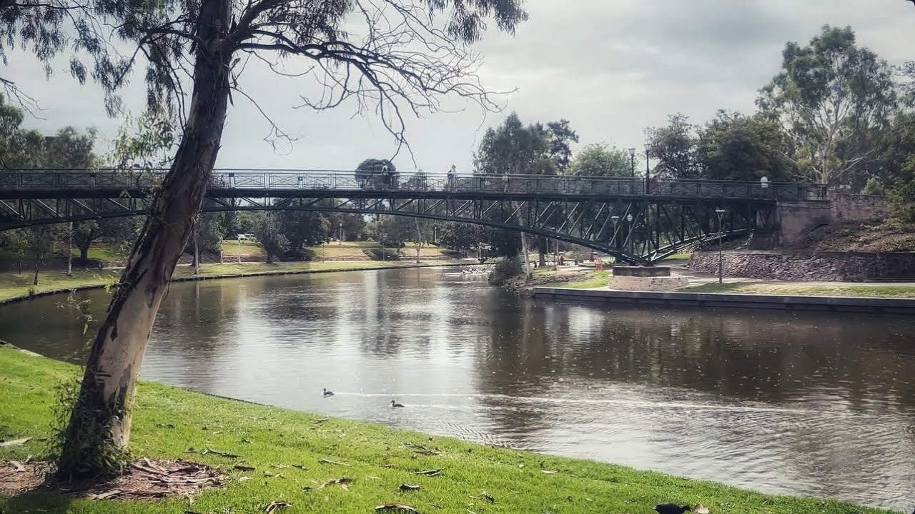 #8 Around Adelaide University, Exploring Train | 2026 Series 